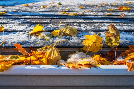Leaves and snow on roof and in gutter