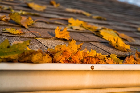 Orange leaves in gutter on roof
